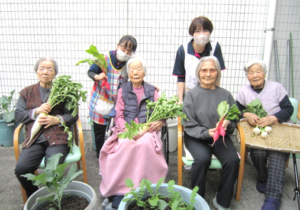 『よっこらしょ！！大根とカブがとれたぞ～(≧▽≦)』